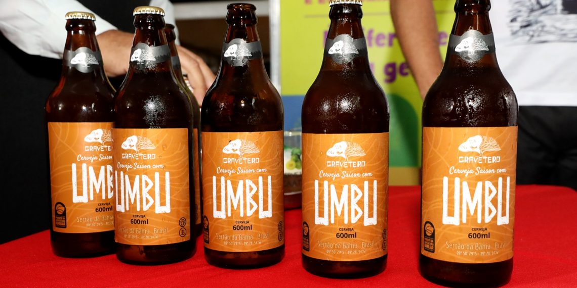 Cerveja de Umbu produzida pela agricultura familiar da Bahia será distribuída para todo o Brasil, em parceria com a Ambev