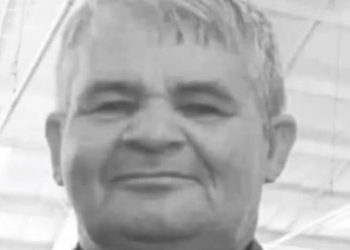 Morre motociclista que se envolveu em colisão com animal na BR 410 há uma semana