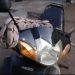 Homem leva susto ao deparar com jibóia enrolada em guidão de moto
