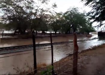A chuva caiu no sertão! Veja animação de algumas pessoas (vídeo)