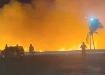 Chamas atingem área de vegetação equivalente a 500 campos de futebol entre Jacobina e Miguel Calmon