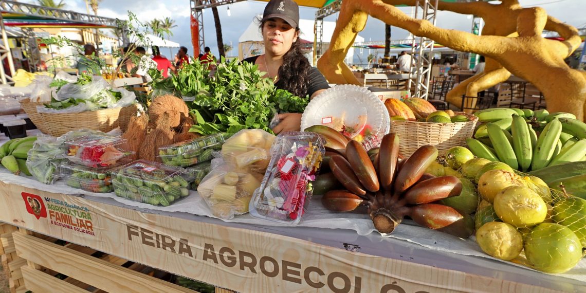 Feira Baiana da Agricultura Familiar e Economia Solidária chega a 14ª edição com homenagem a Luiz Alberto, liderança do movimento negro brasileiro