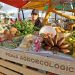 Feira Baiana da Agricultura Familiar e Economia Solidária chega a 14ª edição com homenagem a Luiz Alberto, liderança do movimento negro brasileiro