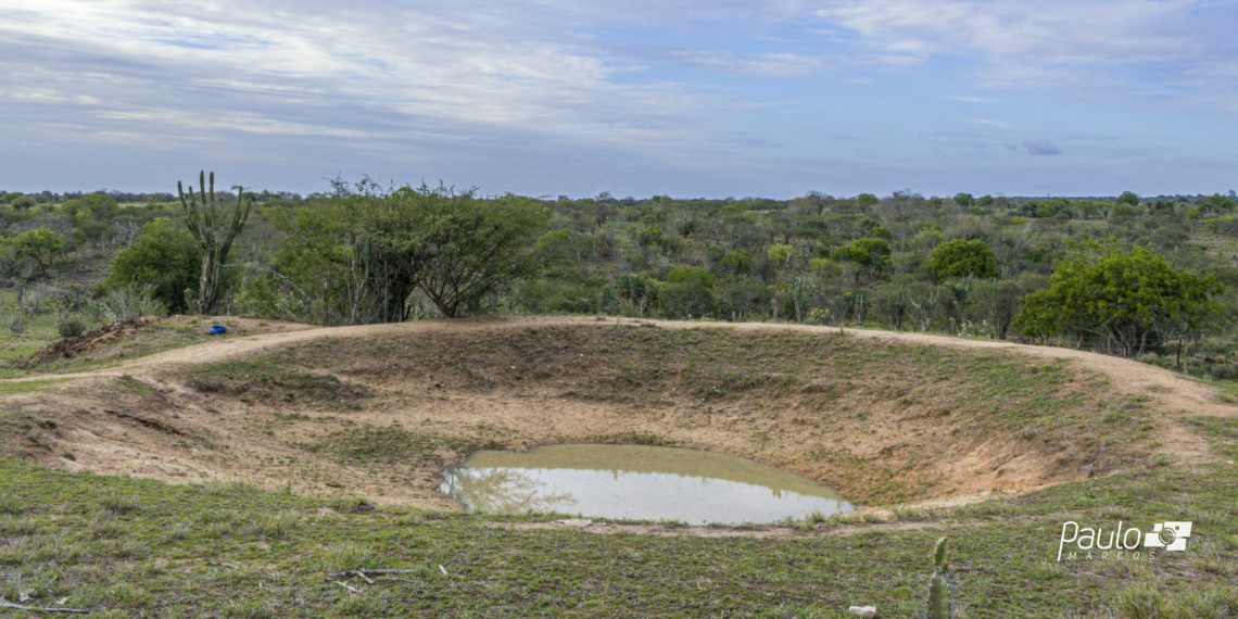 FotoLegenda de Paulo Marcos retrata impacto das chuvas na zona rural de Conceição do Coité