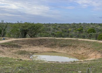 FotoLegenda de Paulo Marcos retrata impacto das chuvas na zona rural de Conceição do Coité
