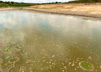 Açude em nível crítico de água vem provocando a morte de peixes na região de Aroeira