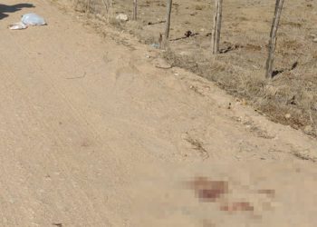 Corpo de homem é encontrado com marcas de tiros em estrada de terra na região do Pereira