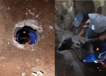 ‘Força tarefa’ – Brigada Anjos Jacuipenses trabalhou por quatro horas para resgatar ovelha em tubulação de esgoto