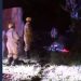 Idoso morre após carro capotar e bater em muro às margens da BA 416