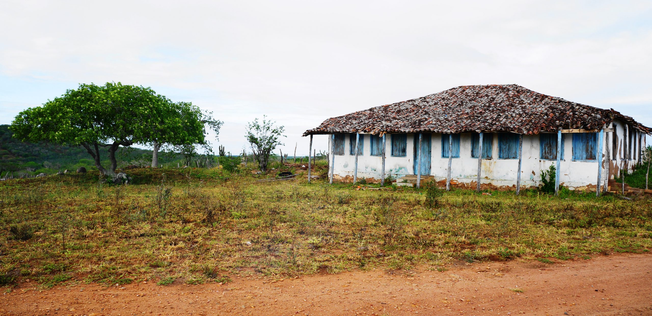 A fotografia é uma cena rural ampla e clara. No primeiro plano, há uma estrada de terra que serpenteia da esquerda para o centro da imagem. A vegetação é de campo ralo, com capim baixo e seco, e a terra de cor avermelhada. No centro da imagem, há uma árvore robusta com uma folhagem verde exuberante, destacando-se contra o céu claro. Ao lado direito da árvore, há uma casa de fazenda simples, com paredes brancas e descascadas e detalhes em azul turquesa desbotado nas 9 janelas e 1 porta da frente. O telhado da casa é de telhas cerâmicas antigas e irregulares, que sugerem uma construção antiga e desgastada pelo tempo. Ao fundo, percebe-se um relevo suave de colinas e vegetação mais densa. O céu está parcialmente nublado, com nuvens brancas esparsas, mas ainda assim permite a passagem de bastante luz. 