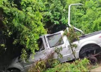 Carro capota e colide em árvore na BR 324