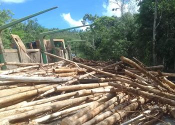 Ciclista morre após ser atingido por toras de madeira transportadas em caminhão