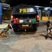Mulher com criança de colo é flagrada pela PRF transportando submetralhadora e drogas em um ônibus interestadual