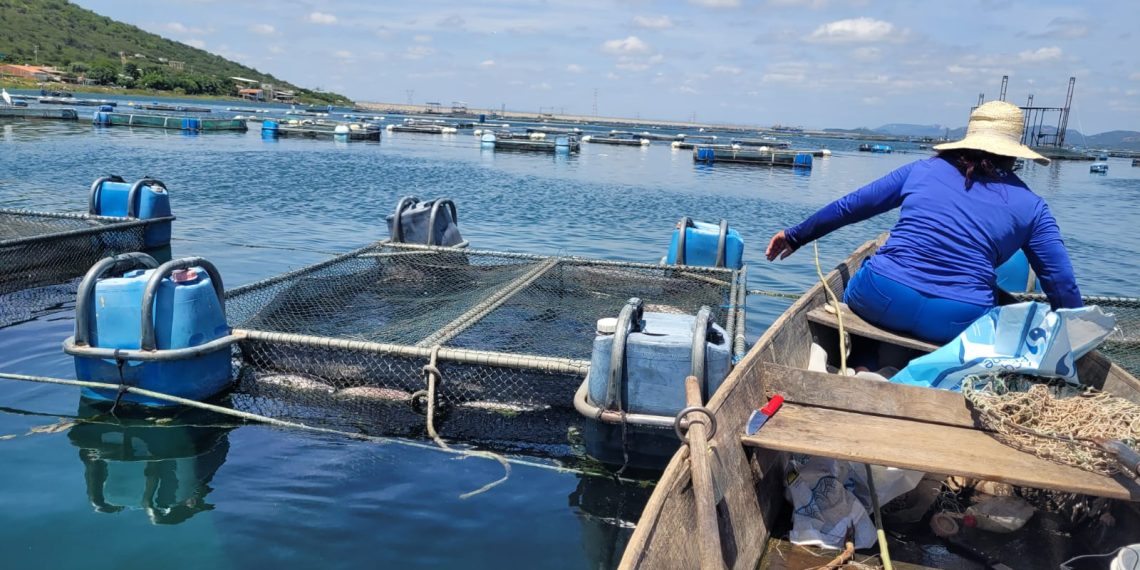 Pescadores artesanais comercializam cerca de dois milhões de reais na quaresma