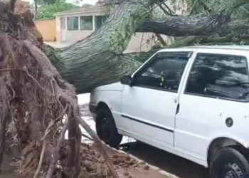 Tempestade com chuva de granizo derruba árvores em Morro do Chapéu