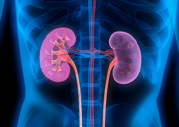 No Dia Mundial do Rim, Nefrologista alerta para os riscos da Doença Renal Crônica e destaca a prevenção como melhor caminho para enfrentá-la