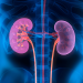 No Dia Mundial do Rim, Nefrologista alerta para os riscos da Doença Renal Crônica e destaca a prevenção como melhor caminho para enfrentá-la