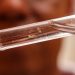 Brasil passa de 4 milhões de casos de dengue; mortes chegam a 1.937