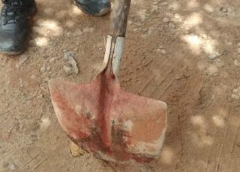 Homem invade casa e mata idosa a golpes de pá