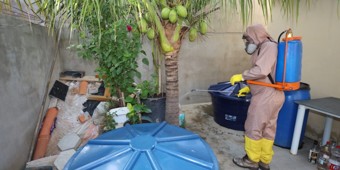 Cenário da Dengue na Bahia tem tendência de queda