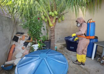 Cenário da Dengue na Bahia tem tendência de queda