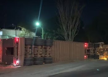Carreta que levava bois tomba em rodovia; motorista e dois animais morreram no acidente
