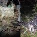 Vereador e outras duas pessoas morrem em grave acidente entre carro e moto