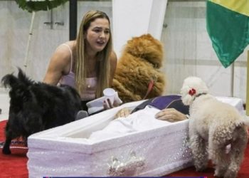 SP – Caixão de Nahim é posto no chão para cães se despedirem do tutor