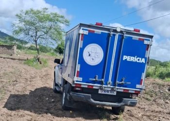 Homem morre eletrocutado quando tentava cortar galho de árvore com facão