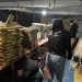 Doze mil fogos irregulares são apreendidos em Senhor do Bonfim