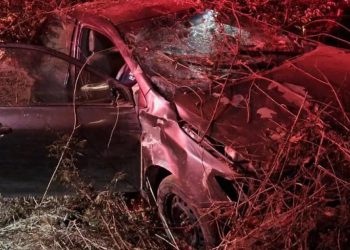 Médico morre em batida de carro com vaca no Sudoeste baiano