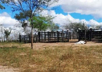 Homem é assassinado a tiros por cerca de dez tiros em sua propriedade rural