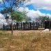 Homem é assassinado a tiros por cerca de dez tiros em sua propriedade rural