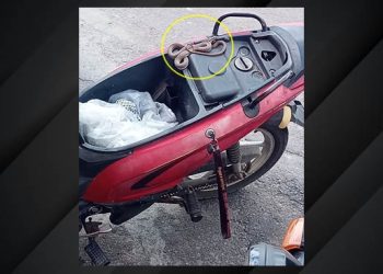 Homem desce para comprar remédio e quando retorna depara com uma cobra no bagageiro da moto