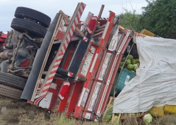 Caminhão que transportava frutas e verduras para Cansanção tomba na BR 407