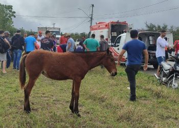 Dois homens ficam feridos após motocicleta colidir em cavalo na BA 411