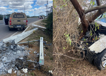 Mulher morre e outras 4 pessoas ficam ficam feridas após carro colidir em poste de iluminação e árvore