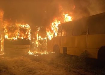 Amigos fumam maconha dentro de ônibus municipal e bituca de cigarro causa incêndio em três veículos