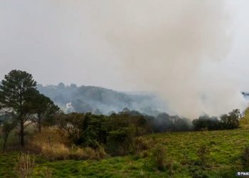 Polícia prende quinto suspeito de incêndios criminosos em SP