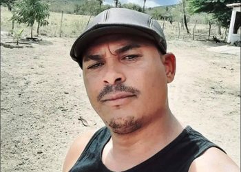 Homem de 42 anos morre após suposta picada de abelha