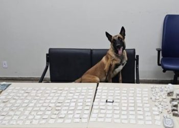 FICCO, PM e PC alcançam líder do tráfico de drogas da cidade de Monte Santo. Ele morreu no confronto