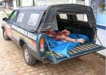 Abate clandestino é praticado em quase um terço dos municípios baianos