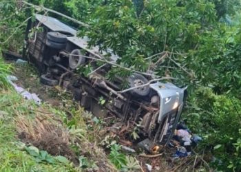 Quatro pessoas morrem e 10 ficam feridas após ônibus cair em ribanceira