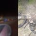 Motociclista morre ao bater em carro e ser atropelado por carreta na BR 324