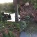 Motorista fica ferido após caminhonete cair da ponte sobre o rio Jacuípe