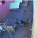 Menino invade Hospital Veterinário no Paraná e mata 23 animais