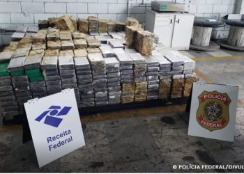 Porto de Santos: Receita e PF fazem maior apreensão de cocaína do ano