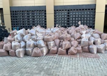 PF incinera cerca de oito toneladas de pó da “jurema negra” apreendido em Coité