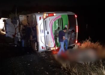 Ônibus tomba e deixa quatro mortos na BR 110