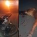 Em nova tragédia anunciada jovem morre ao colidir moto em boi na BA 120